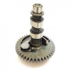 CAMSHAFT ASSY