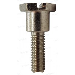 PLATE DRIVE BOLT