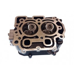 CYLINDER HEAD ASSY