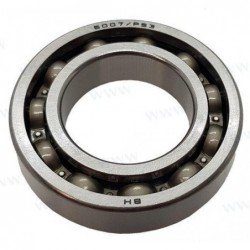 BEARING 6007